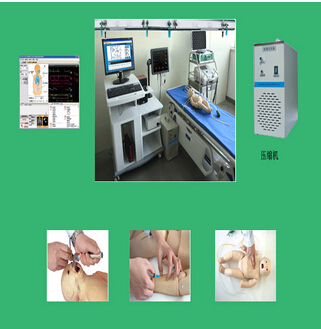 高智能數(shù)字化新生兒綜合急救技能訓練系統(tǒng)HR/ACLS1400（學生機）