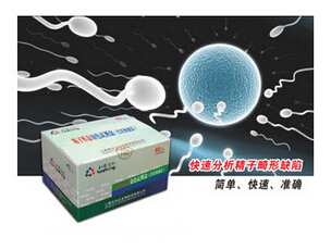 精子形態(tài)學染色試劑盒（巴氏快速法）