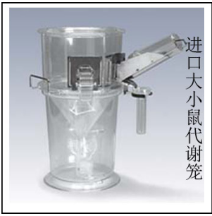 4bb6cc3490cc94d2ca25dc291fa85d11.PNG