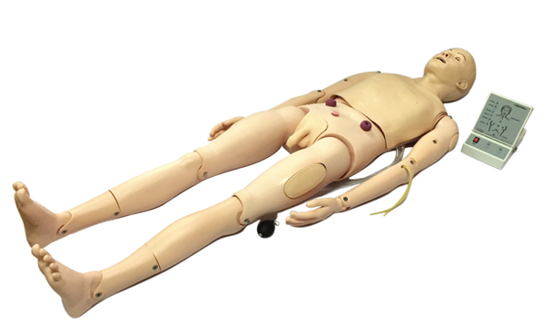成人護(hù)理及CPR模型人KAS-H138