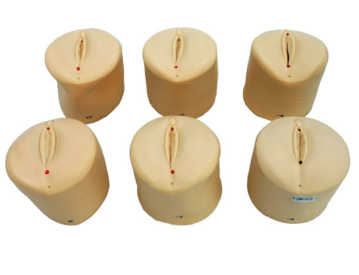 產(chǎn)前宮頸變化與產(chǎn)道關系模型KAS-20