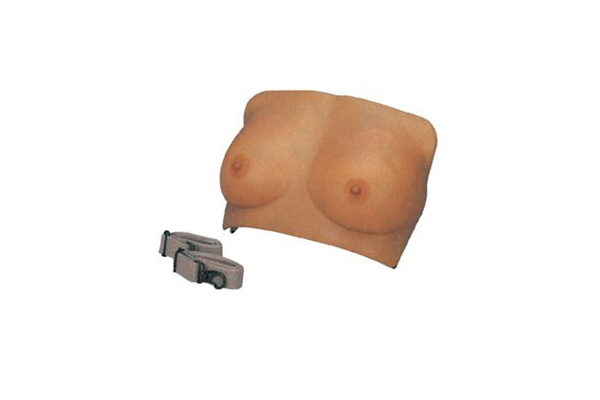 乳房檢查模型?KAS-RF-2
