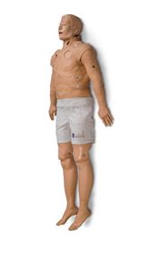 STAT人體模型