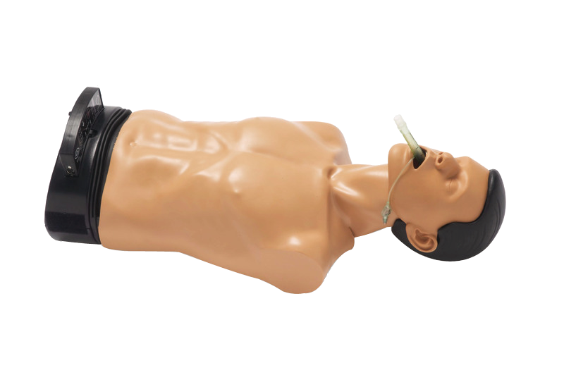 安保氣道訓練模型機械型Ambu Airway Man W