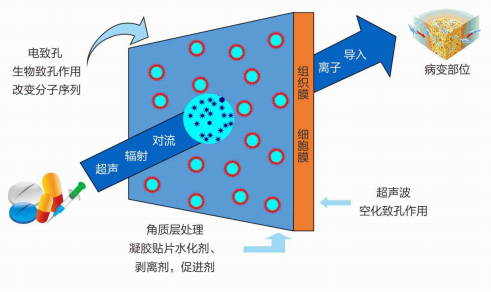 超聲藥物透入治療儀１.png