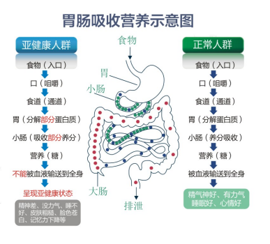 胃腸動力治療儀