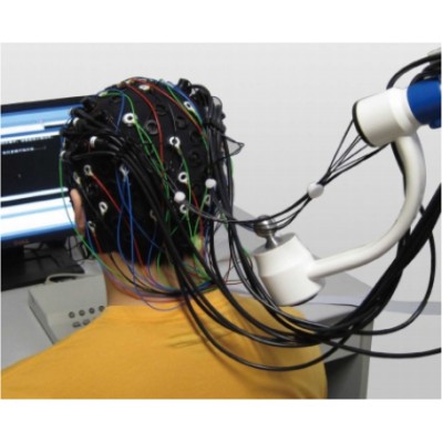 腦電.jpg