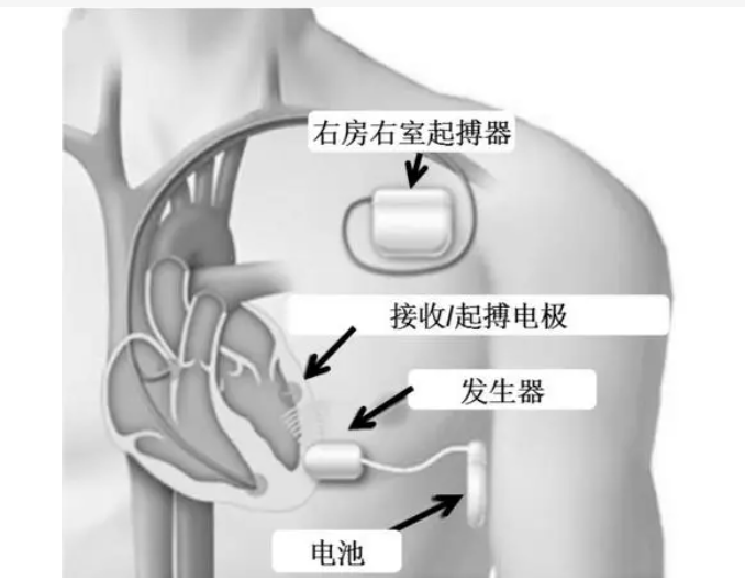 QQ截圖20231206164427.png
