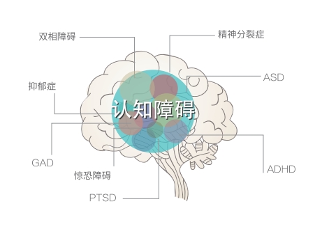 認(rèn)知功能障礙