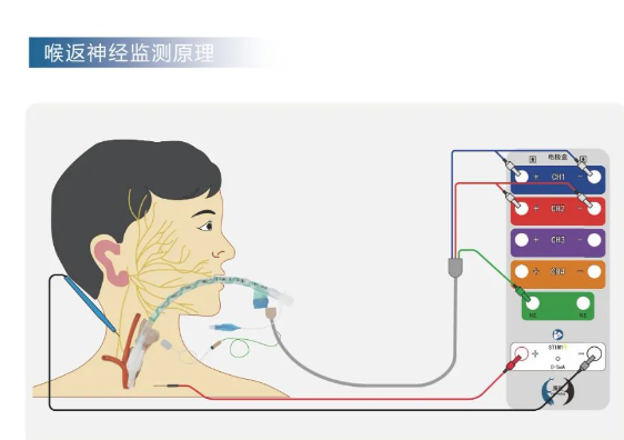 QQ截圖20240531111211.png
