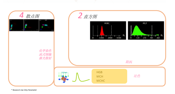 QQ截圖20240604101406.png