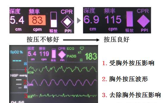 QQ截圖20240604104248.png