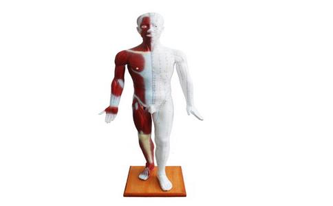 QQ截圖20240719091832_thumb.jpg QQ截圖20240719091832_thumb.jpg