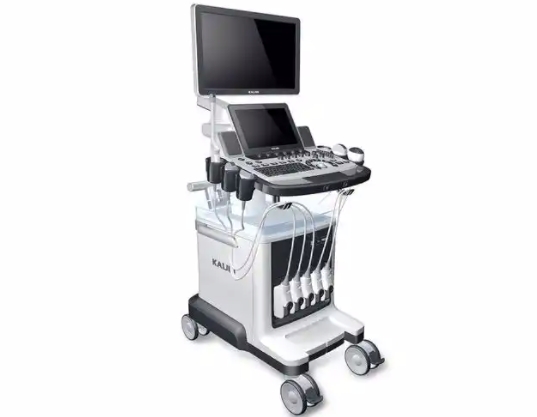 掌上彩色多普勒超聲顯像儀 p5l 掌上彩色多普勒超聲顯像儀 p5l