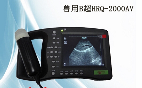 20250429_索諾星便攜式B超_20250429_131545_3410.jpg